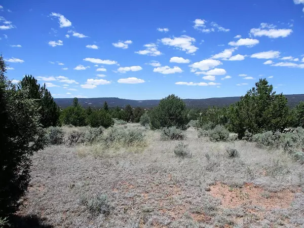 Ramah, NM 87321,Lot 8 Sunrise WAY