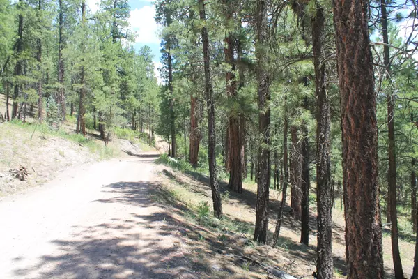 Cuba, NM 87013,Las Palomas RD