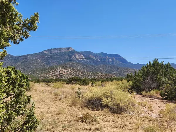 Hillside Drive,  Placitas,  NM 87043