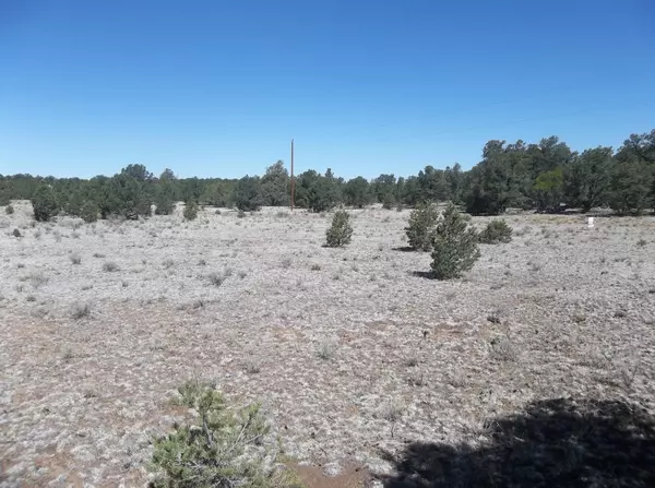 Ramah, NM 87321,Cerro Leonides - Tierra Verde RD