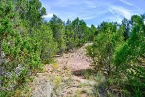 Cedar Crest, NM 87008,12141 North Hwy  14