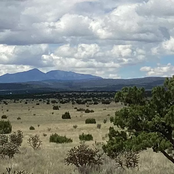 Estancia, NM 87016,County Rd A052 Tract A