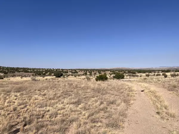 Lot 3904 Blk 1 Valle De Manana, Lemitar, NM 87823