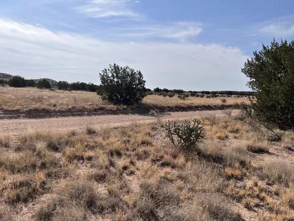 Lemitar, NM 87823,Lot 3904 Blk 1 Valle De Manana