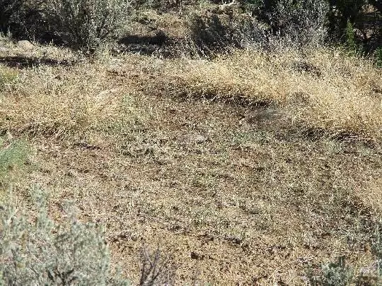 Cuba, NM 87013,Cubita - Cuba Mesa RD