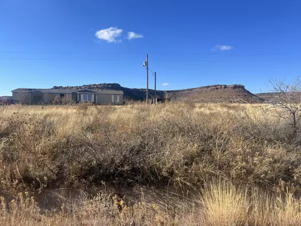 Santa Rosa, NM 88435,1181 Paisano RD