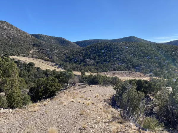 14 San Mateo TRL, Mountainair, NM 87036