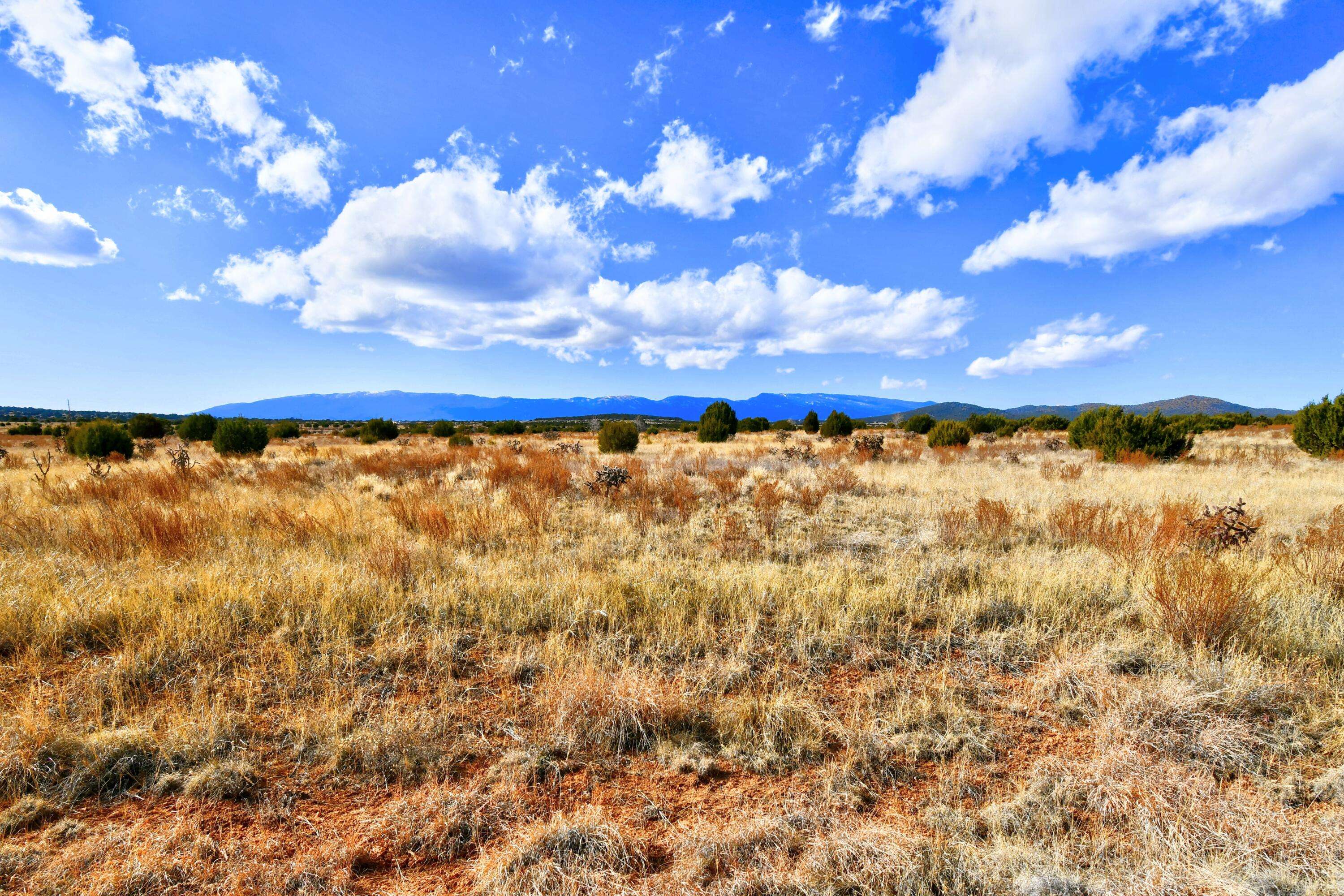 Edgewood, NM 87015,14 Entranosa CT