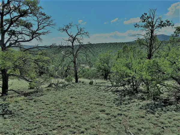 Datil, NM 87821,12 Kit RD