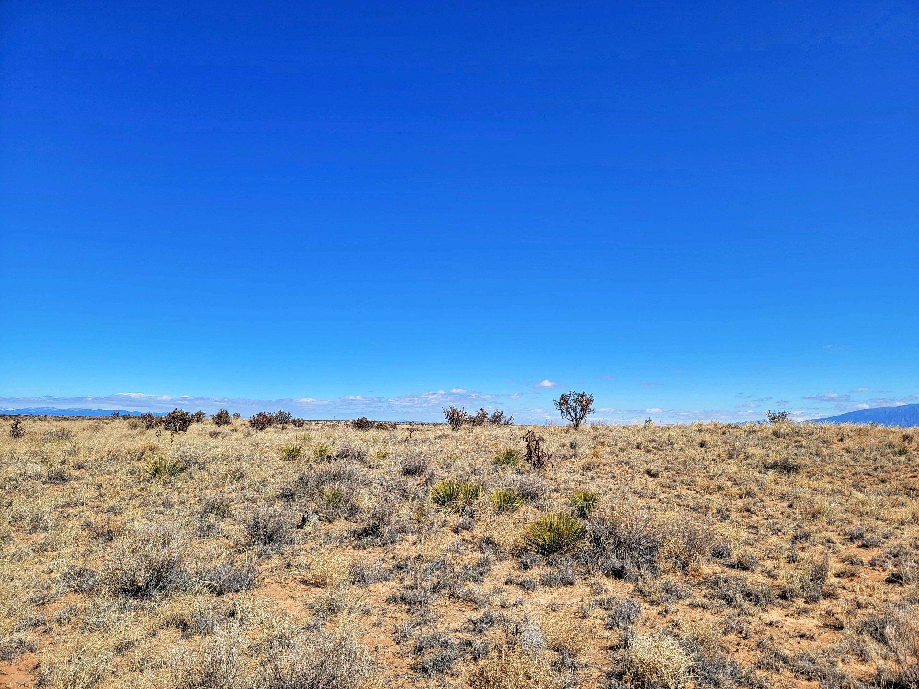 Rio Rancho, NM 87124,5th AVE SW