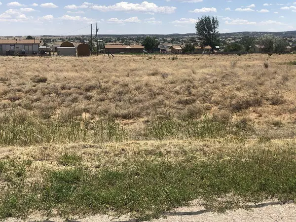 Edgewood, NM 87015,6 Mountain View LN