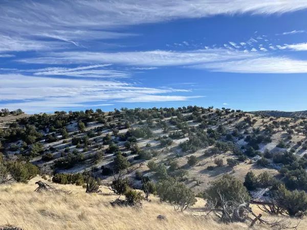 Magdalena, NM 87825,Lot 129 Pinon Springs