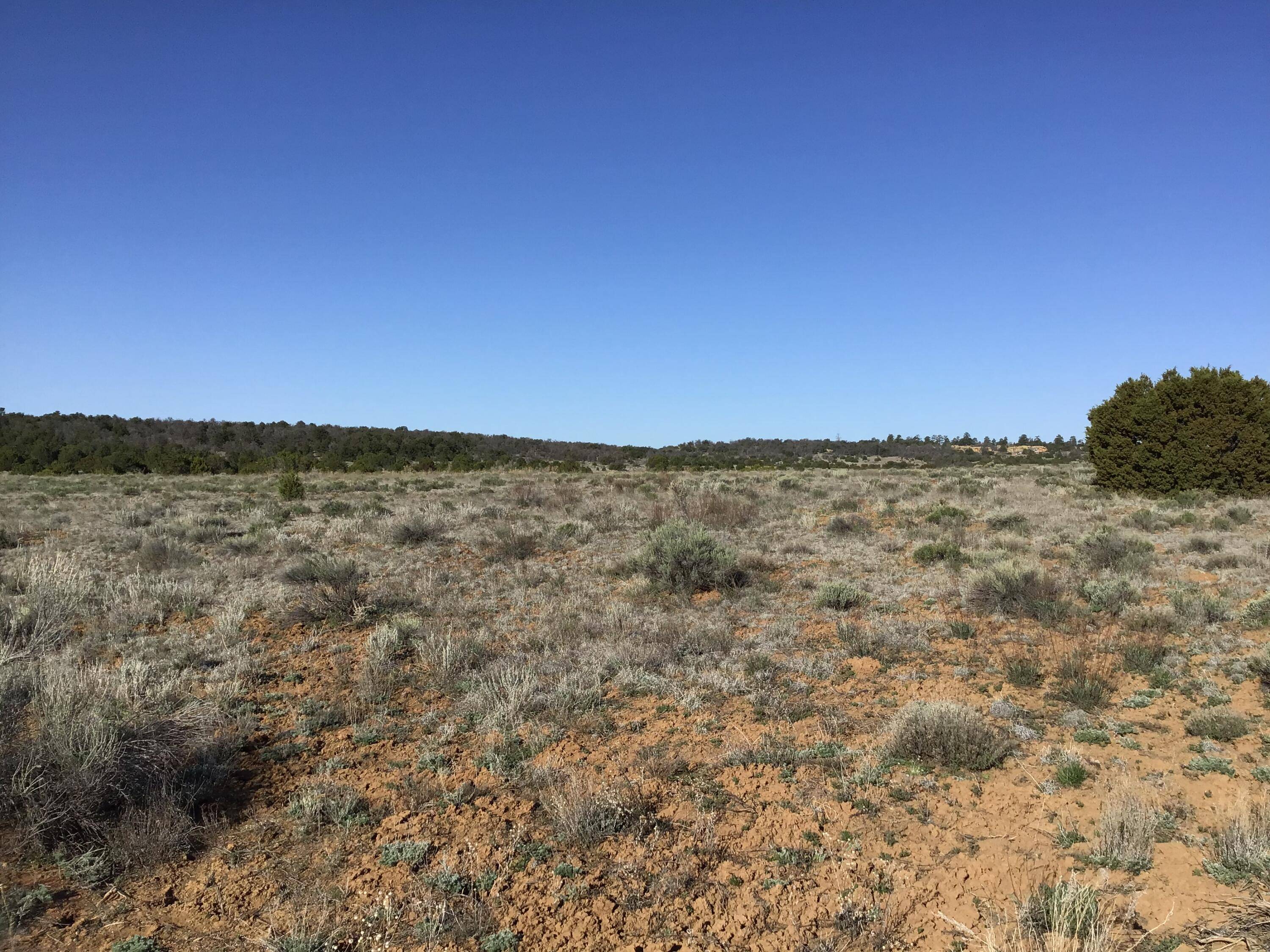 Ramah, NM 87321,Lot 106 Ranch DR