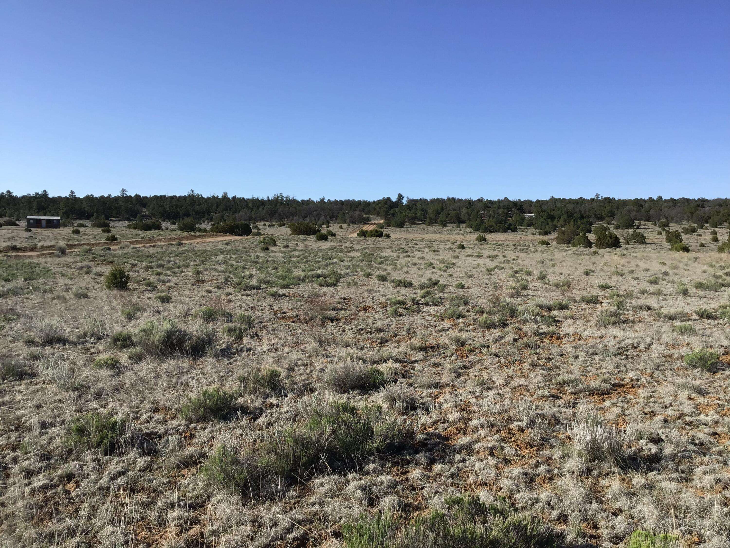 Ramah, NM 87321,Lot 106 Ranch DR