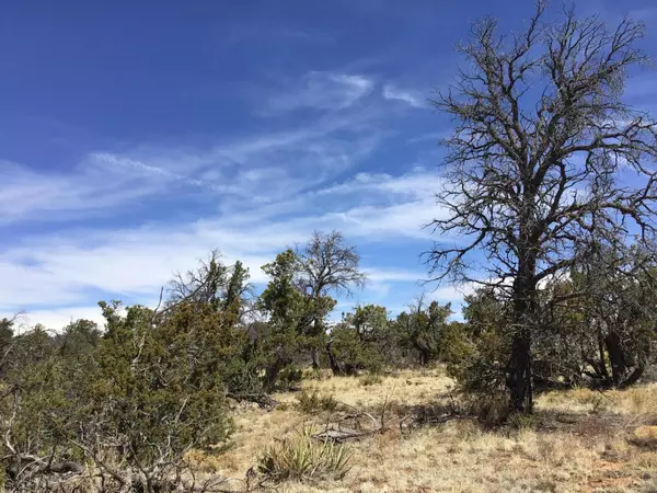 Lot 636-A Edgewood DR, Ramah, NM 87321