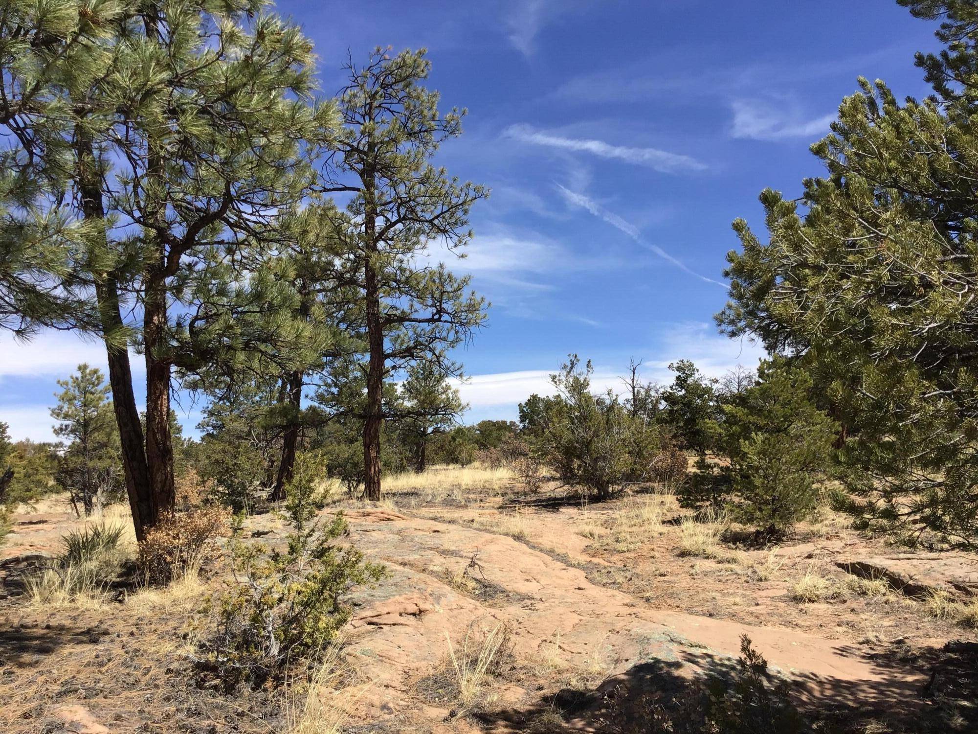 Ramah, NM 87321,Lot 641 Gabe RD