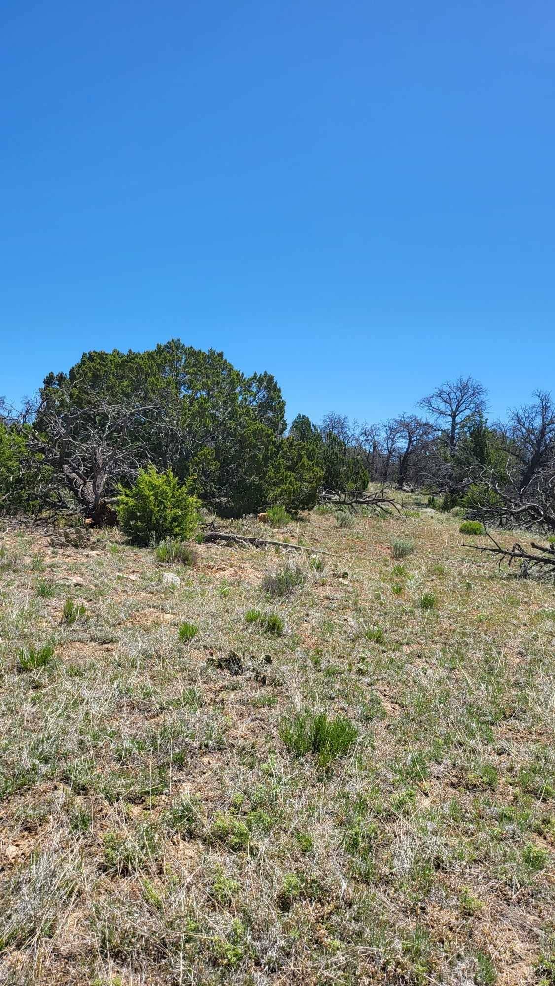 Ramah, NM 87321,North Lots - Calls PL