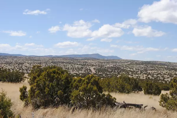 Magdalena, NM 87825,38 Lost Calf Lane