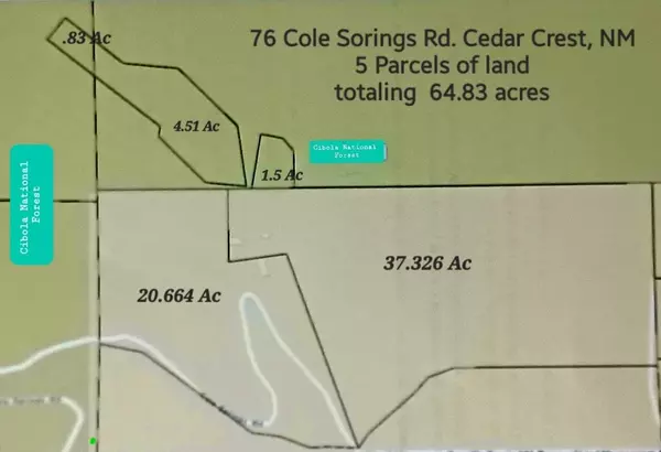 Cedar Crest, NM 87008,76 Cole Springs RD