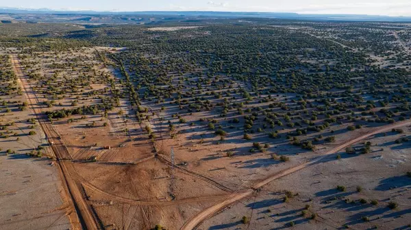 Santa Rosa, NM 88435,Portrillo Creek Ranch Lot 16