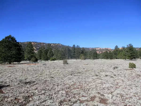 Ramah, NM 87321,Lot 16 Culebra DR