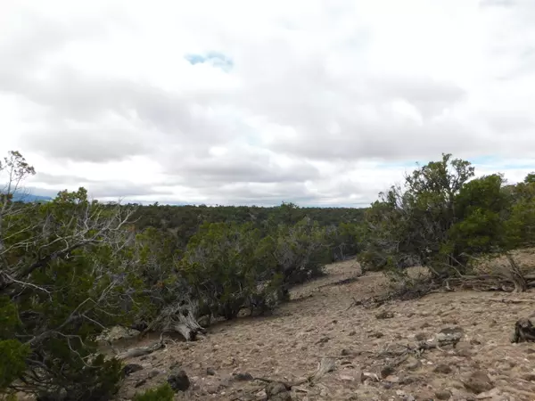Quemado, NM 87829,Lot 139 Agua Fria Loop