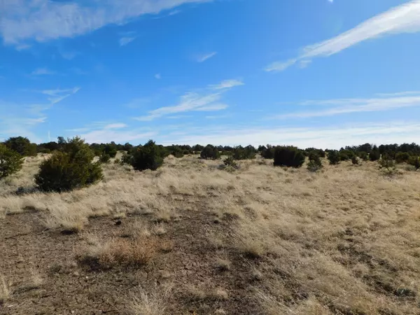 Quemado, NM 87829,Lot 38a Agua Fria Loop