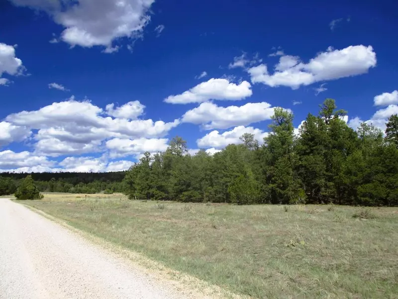 Lot 5 Copperweed RD, Ramah, NM 87321