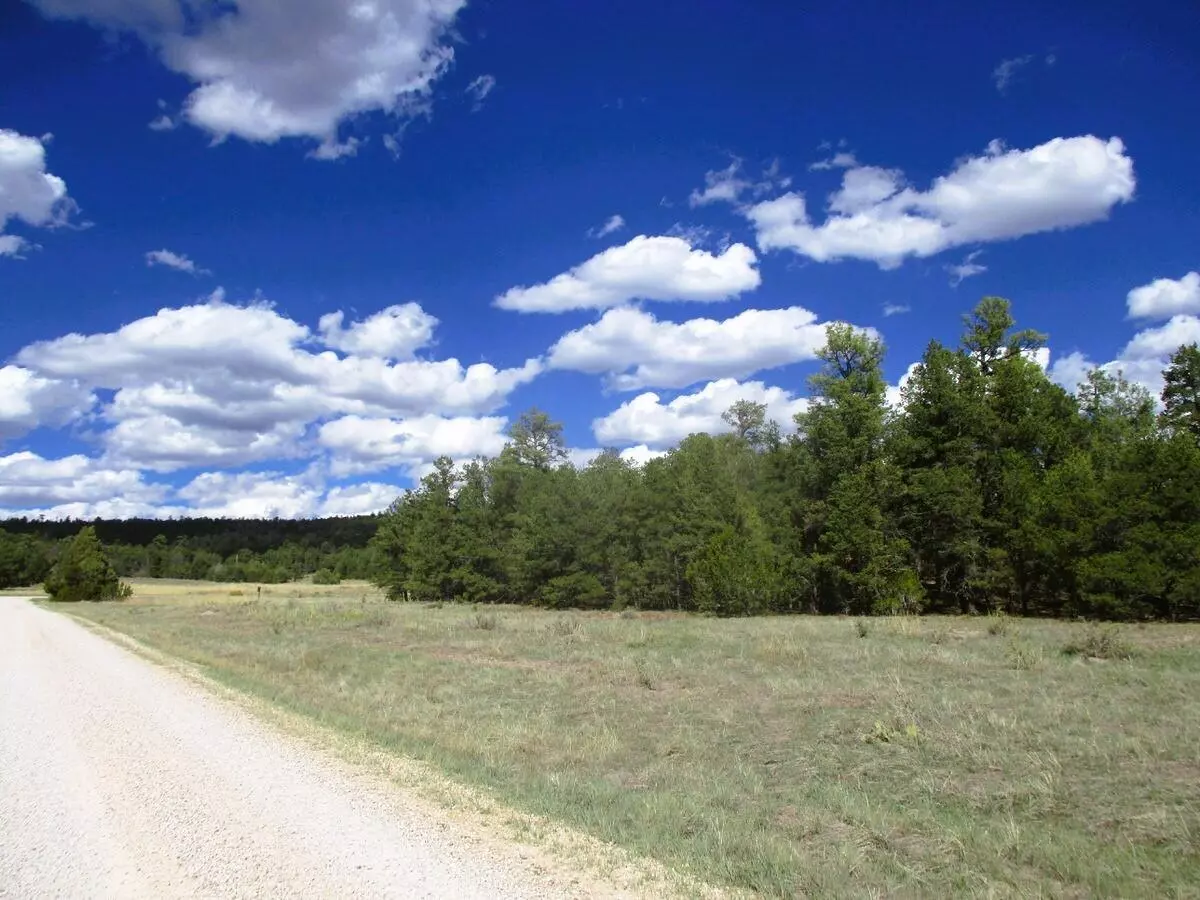 Ramah, NM 87321,Lot 5 Copperweed RD