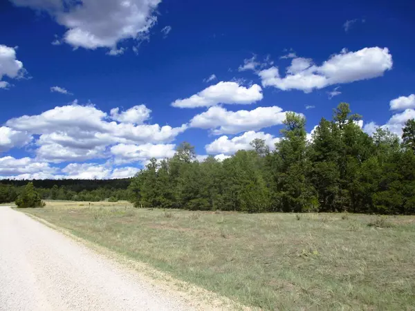 Lot 5 Copperweed RD, Ramah, NM 87321