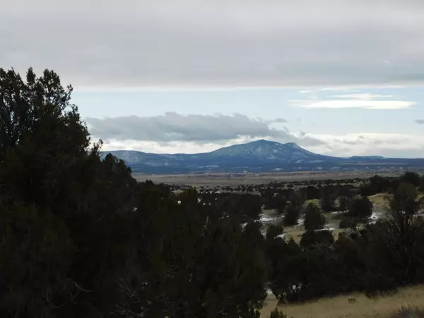 Quemado, NM 87829,Lot 56 Bronco Boulevard