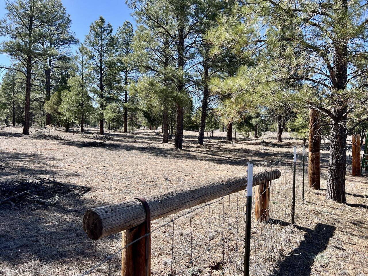 Ramah, NM 87321,Lot 21 Timberlake RD