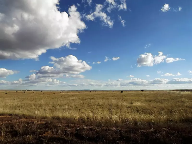 Palomino (Lot 22) DR, Moriarty, NM 87035