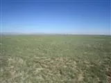 Moriarty, NM 87035,Palomino Dr (Lot 23)