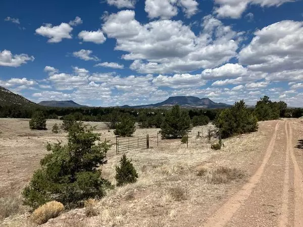 Datil, NM 87821,Lot 25 Morningstar DR