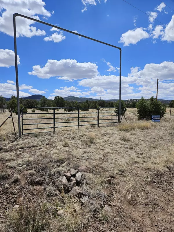 Reserve, NM 87830,00 Tee Pee Trail