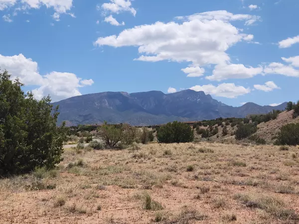 Placitas, NM 87043,15 Petroglyph Trail