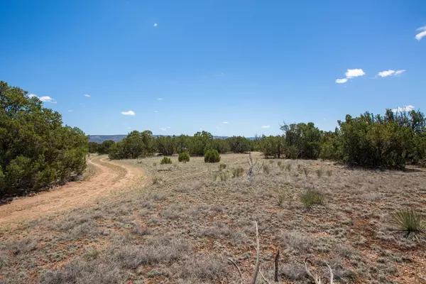 Lot 17 Loma Parda Road,  Mountainair,  NM 87036