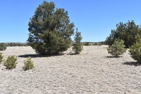 Datil, NM 87821,Lot 15 Old Thomas Place Iv