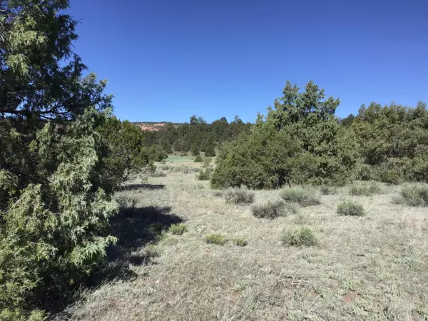 Ramah, NM 87321,Lot 2 East Elk RD