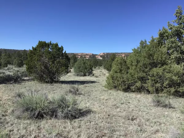 Ramah, NM 87321,Lot 2 East Elk RD