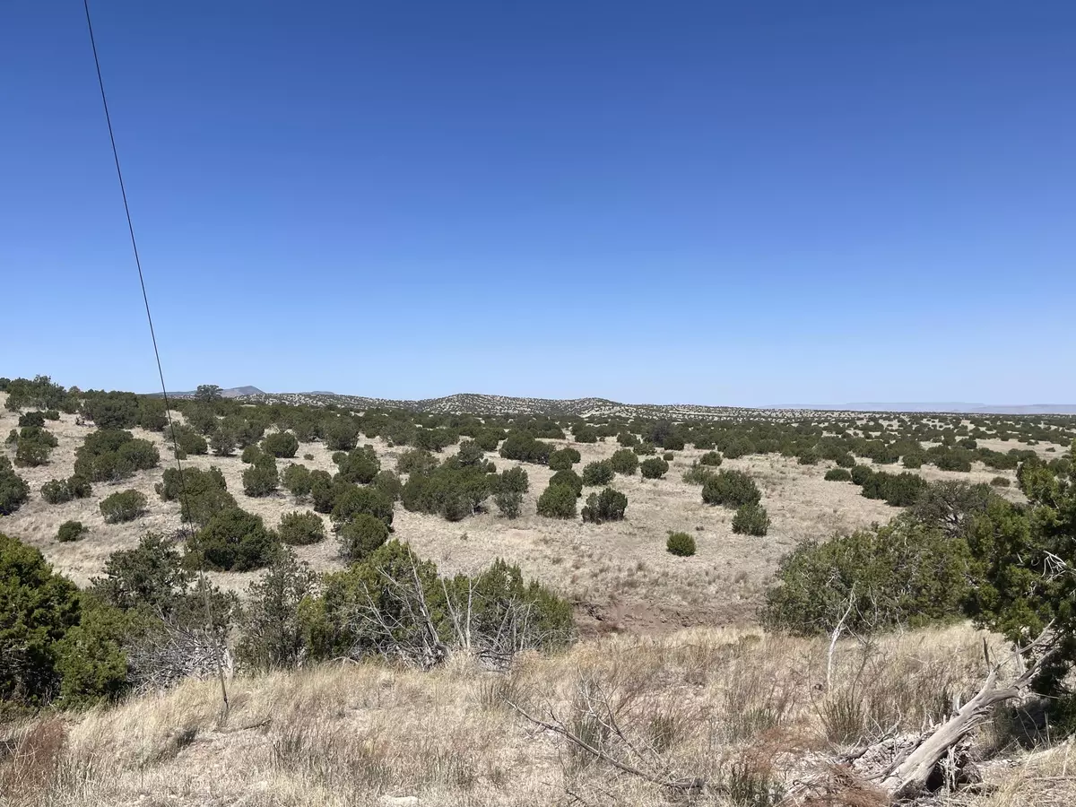 Magdalena, NM 87825,Lot 55 Pinon Springs Ranch