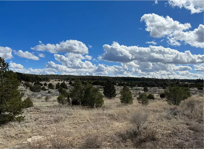 Lot 14 Candy Kitchen RD, Ramah, NM 87321