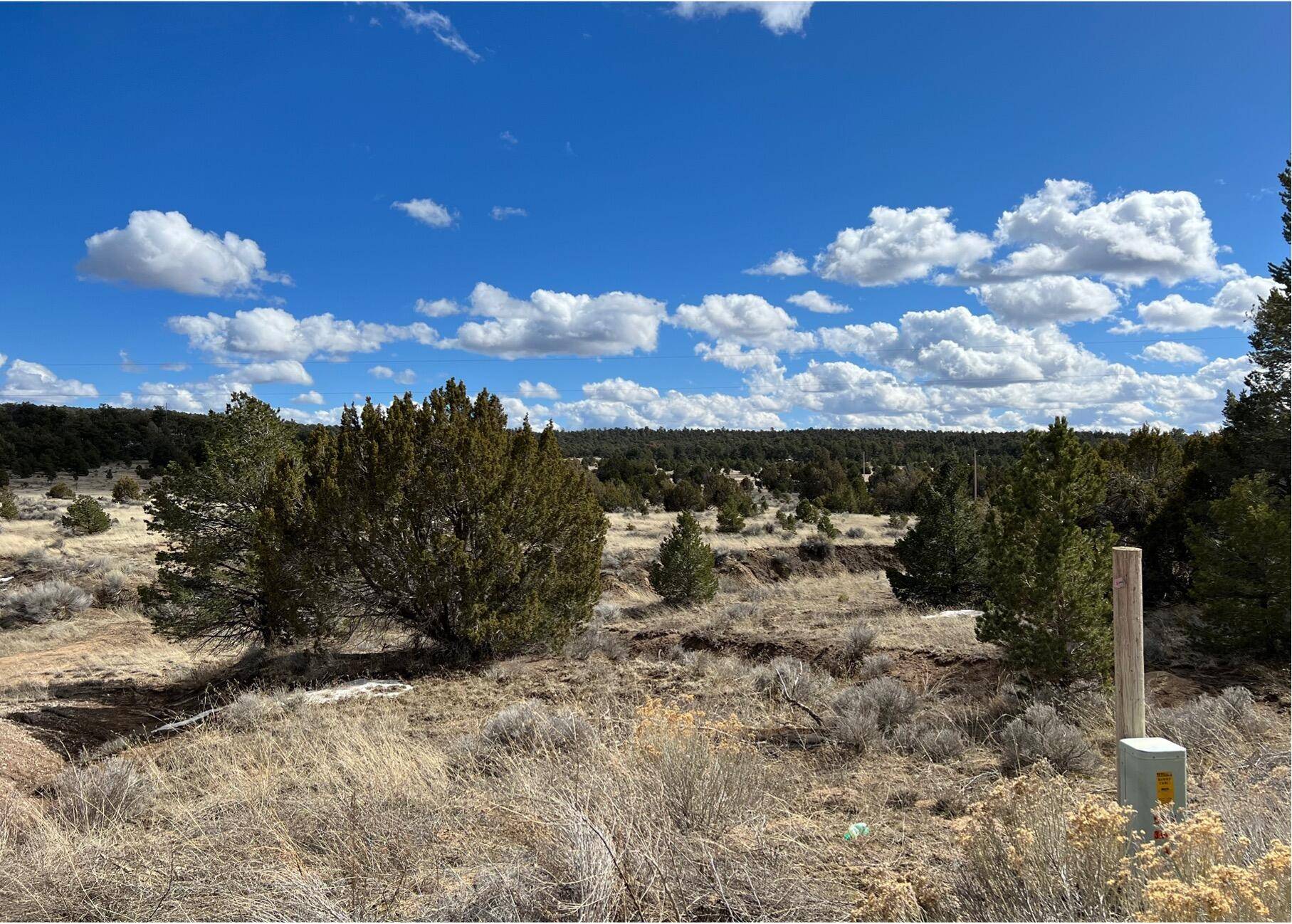 Ramah, NM 87321,Lot 14 Candy Kitchen RD