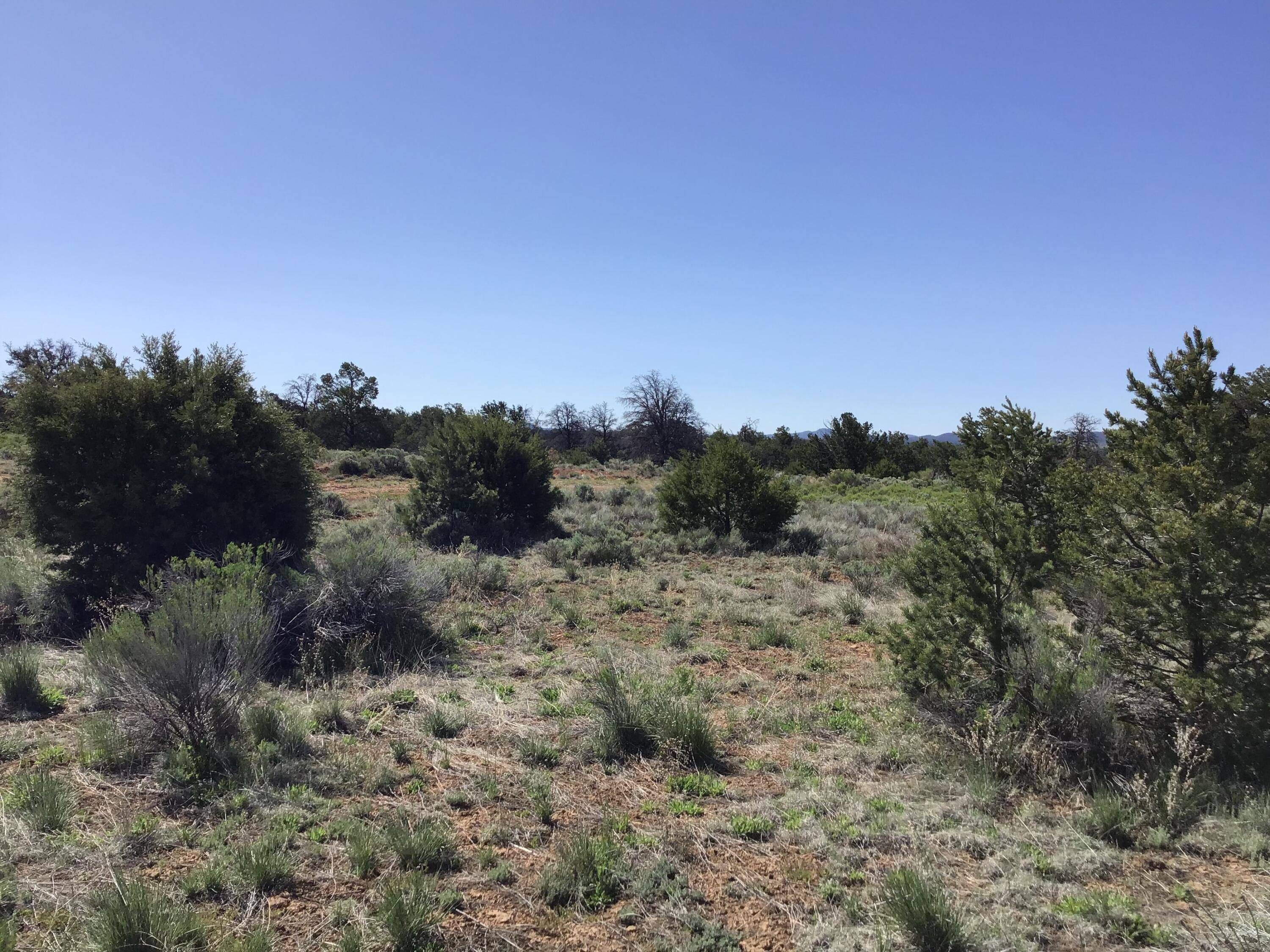 Ramah, NM 87321,Lot 206e Meadow DR