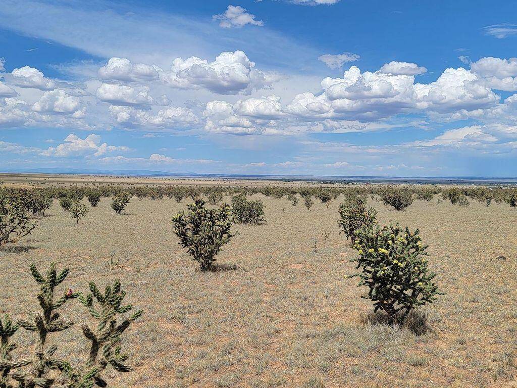 Edgewood, NM 87015,341 Thompson RD