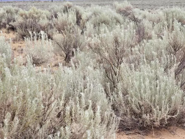 Rio Communities, NM 87002,Vl 14 Rio Grande Estates Block 589 #25