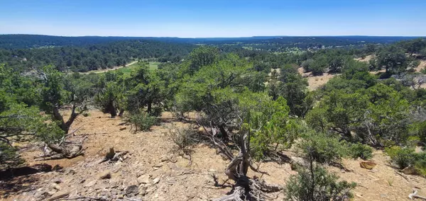Lot 7 Coyote Canyon RD,  Ramah,  NM 87321