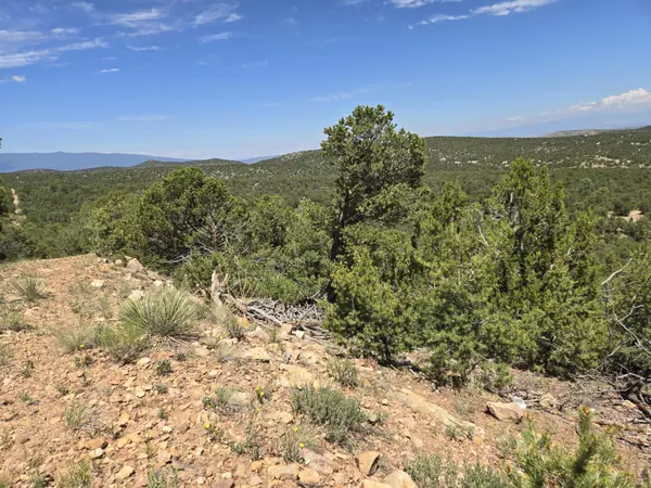 Golden, NM 87047,Ranchitos LN