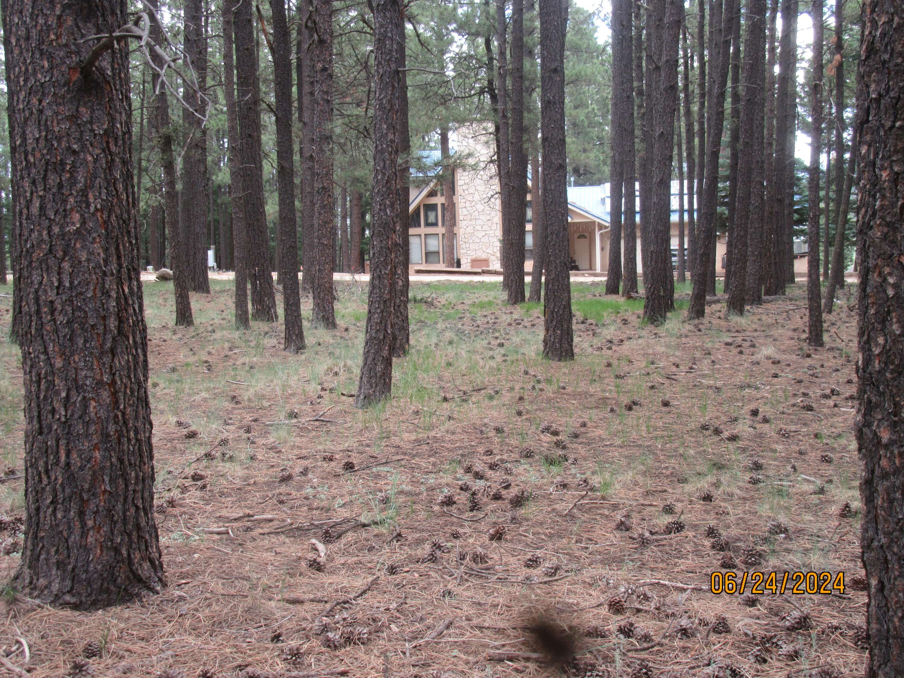 Angel Fire, NM 87710,Pinehurst WAY